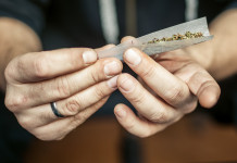 Assunzione occasionale di stupefacenti e porto d’armi, la sentenza Assunzione occasionale di stupefacenti e porto d’armi: mani di uomo preparano spinello con marijuana