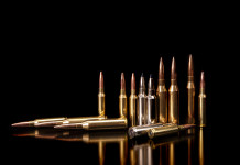 Munizioni in piombo, chiesto rinvio del divieto Munizioni in piombo su sfondo nero