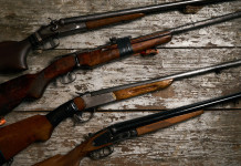Il ritiro cautelare delle armi e l’urgenza infinita: il commento Il ritiro cautelare delle armi e l’urgenza infinita: fucili in collezione
