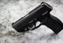 Porto d’armi per difesa e dimostrato bisogno: la sentenza Porto d’armi per difesa: pistola appoggiata sulla canna