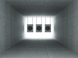 Il tiro a segno a scuola: scandalo o virtù? Il tiro a segno a scuola: bersagli per tiro a segno