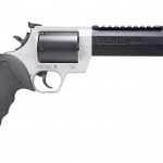 stainless steel taurus raging hunter