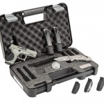 Arma chiusa nella sua valigetta: non c’è reato Arma chiusa nella sua valigetta non c’è reato