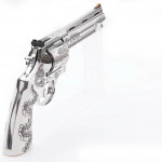 backside sk anaconda