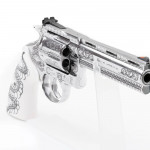 frontside sk anaconda