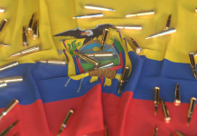 Liberalizzate le armi per difesa in Ecuador Liberalizzate le armi per difesa in Ecuador: munizioni sulla bandiera dell'ecuador