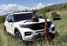 Trasporto di armi in auto: serve la denuncia di detenzione? Trasporto di armi in auto serve la denuncia di detenzione