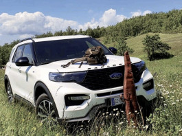 Trasporto di armi in auto: serve la denuncia di detenzione? Trasporto di armi in auto serve la denuncia di detenzione