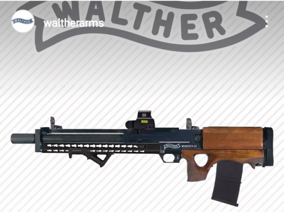 walther Wa2023-12