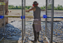 Caccia Village 2023, a Bastia Umbra protagonista anche il tiro in poligono Caccia Village 2023, a Bastia Umbra protagonista anche il tiro in poligono