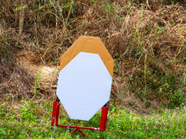 Tiro dinamico sportivo, il medagliere del National federale 2023 Tiro dinamico sportivo, il medagliere del National federale 2023