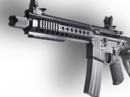 Pistol brace in America, parlamento censura governo Pistol brace in America: Ar15