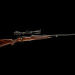 carabina in edizione limitata rigby swiss
