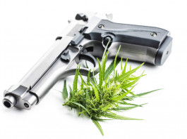 Cannabis e porto d’armi: la sentenza del Tar Cannabis e porto d’armi: pistola con foglia cannabinoidi