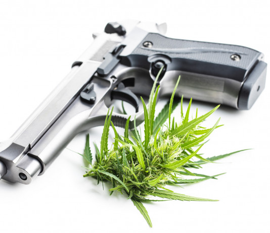 Cannabis e porto d’armi: la sentenza del Tar Cannabis e porto d’armi: pistola con foglia cannabinoidi