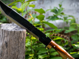 Porto di strumenti atti a offendere: la sentenza della Corte costituzionale Porto di strumenti atti a offendere: la sentenza della Corte costituzionale: lungo coltello, come machete, su ceppo di legno