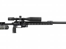 Qual è il prezzo delle carabine ad aria compressa Fx Panthera in Italia? Qual è il prezzo delle carabine ad aria compressa Fx Panthera in Italia