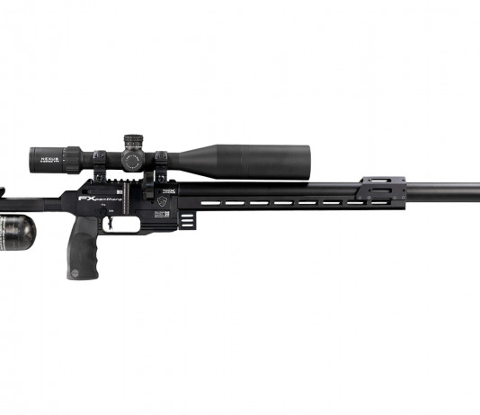 Qual è il prezzo delle carabine ad aria compressa Fx Panthera in Italia? Qual è il prezzo delle carabine ad aria compressa Fx Panthera in Italia