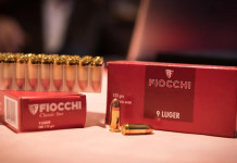 Questione di legge: un dubbio sulla detenzione di cartucce per pistola Questione di legge un dubbio sulla detenzione di cartucce per pistola