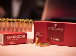 Questione di legge: un dubbio sulla detenzione di cartucce per pistola Questione di legge un dubbio sulla detenzione di cartucce per pistola