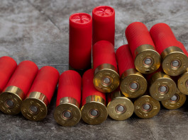 Il Tar: la circolare sulle munizioni in piombo è inutile Il Tar: la circolare sulle munizioni in piombo è inutile: munizioni calibro 12 con bossolo rosso