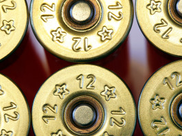 Munizioni in piombo, Assoarmieri scrive al governo Munizioni in piombo: fondelli cartucce calibro 12