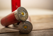 Munizioni in piombo nei poligoni, Senato approva nuovo testo Munizioni in piombo nei poligoni, Senato approva nuovo testo: tre munizioni spezzate con bossolo rosso