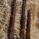 Heritage Settler, tre nuove armi a leva