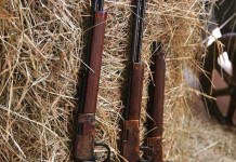 Heritage Settler, tre nuove armi a leva Heritage Settler, tre nuove armi a leva