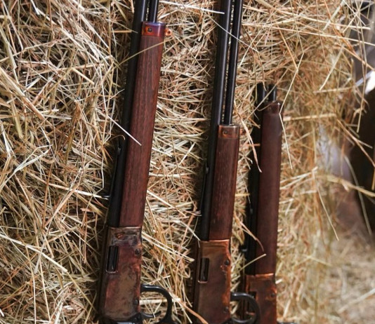 Heritage Settler, tre nuove armi a leva Heritage Settler, tre nuove armi a leva