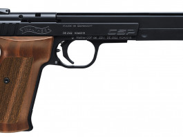 Qual è il prezzo delle pistole Walther Csp in Italia? Qual è prezzo delle pistole Walther Csp in Italia