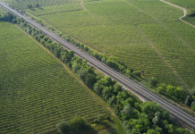 Sanzioni ai cacciatori: attenzione alle distanze! Sanzioni ai cacciatori attenzione alle distanze!