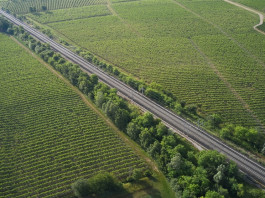 Sanzioni ai cacciatori: attenzione alle distanze! Sanzioni ai cacciatori attenzione alle distanze!