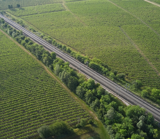 Sanzioni ai cacciatori: attenzione alle distanze! Sanzioni ai cacciatori attenzione alle distanze!