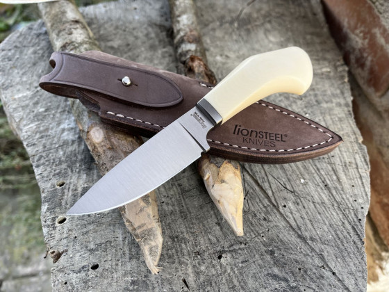 Lionsteel Willy