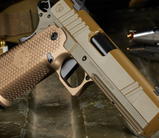 Nighthawk Sand Hawk, una full size custom interamente flat dark earth Nighthawk Sand Hawk, una full size custom interamente flat dark earth