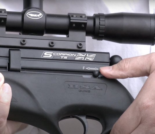 Bsa Scorpion Ts calibro 4,5 mm, piena potenza alla prova Bsa Scorpion Ts