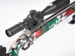 La Little Boy Rifles diventa una Srl La Little Boy Rifles diventa una Srl