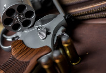 Quanti background check in America nel primo quadrimestre del 2024? Quanti background check in America nel primo quadrimestre del 2024?