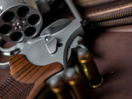 Quanti background check in America nel primo quadrimestre del 2024? Quanti background check in America nel primo quadrimestre del 2024?