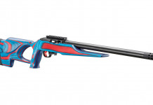 Ruger Usa Shooting 10/22 Target, l’apoteosi del patriottismo Ruger Usa Shooting 10-22 Target, l’apoteosi del patriottismo