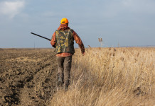 Come si riconosce un’arma da caccia? come si riconosce un'arma da caccia?