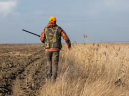 Come si riconosce un’arma da caccia? come si riconosce un'arma da caccia?