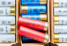 Munizioni in piombo nelle zone umide, Camera elimina divieti per tiro sportivo Munizioni in piombo nelle zone umide, Camera elimina divieti per tiro sportivo