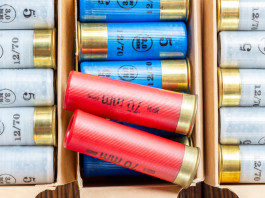 Munizioni in piombo nelle zone umide, Camera elimina divieti per tiro sportivo Munizioni in piombo nelle zone umide, Camera elimina divieti per tiro sportivo