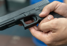 Nel fine settimana i Bignami Day a Reggio Emilia Nel fine settimana i Bignami Day a Reggio Emilia