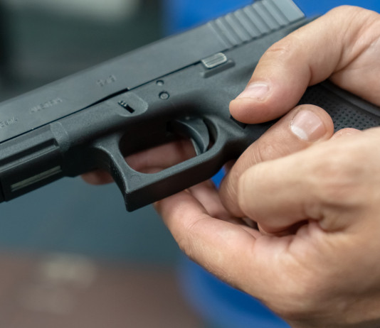 Nel fine settimana i Bignami Day a Reggio Emilia Nel fine settimana i Bignami Day a Reggio Emilia