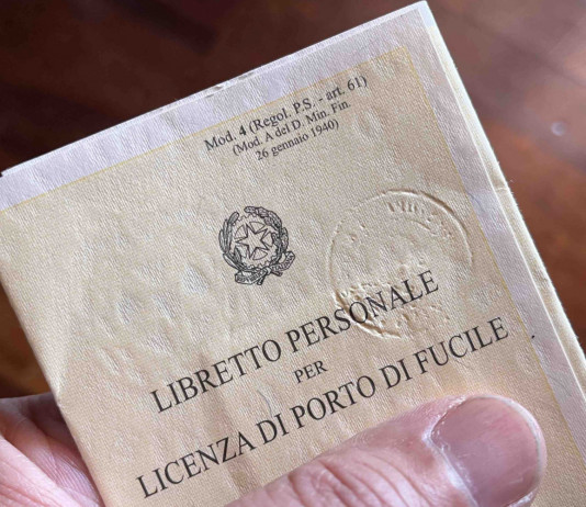 Carabine sportive e detenzione di munizioni, come comportarsi