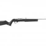 satin stainless steel ruger 10 22