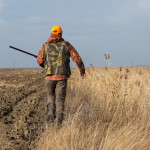 Sei andato a caccia? Denunciato, e a processo